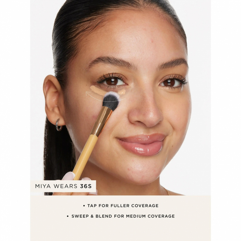 tarte Concealer Paw Brush Angl - Beauty Makeup Vanity reseña y precio